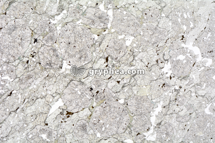 Eclogite LPNA x6,3 - gryphea.org